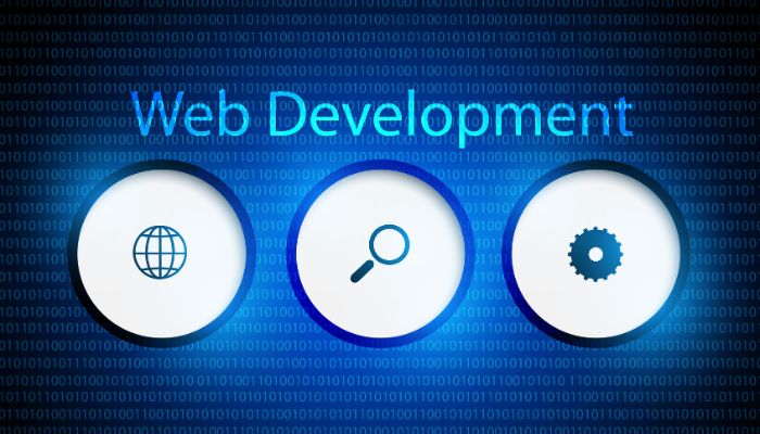 Web Application Development Company in Ahmedabad