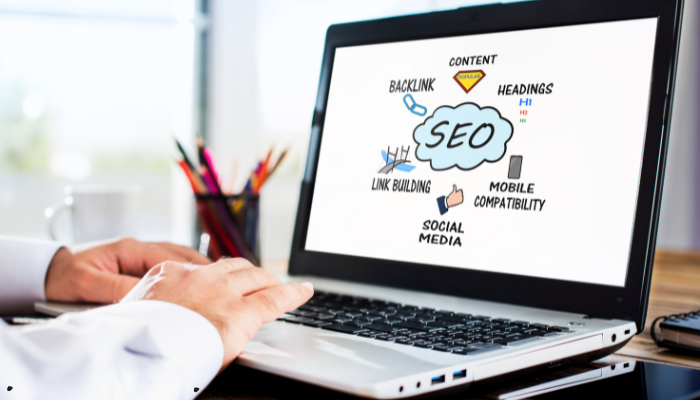 Best SEO Agency in Wellington 2 Best seo agency in wellington 2
