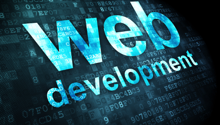 Web Development Company Ahmedabad 2 web development company ahmedabad